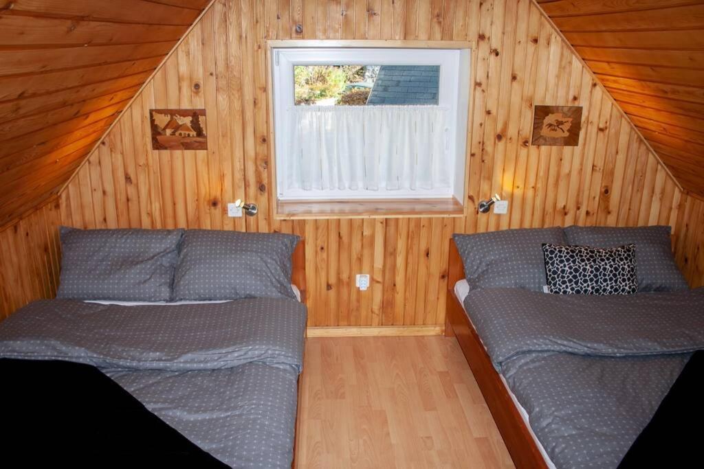 Rezidenca Mitja Villa Kranjska Gora Eksteriør billede